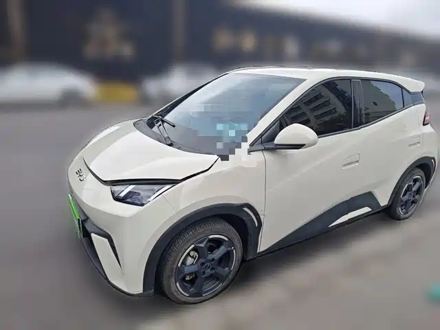 2024 BYD Seagull