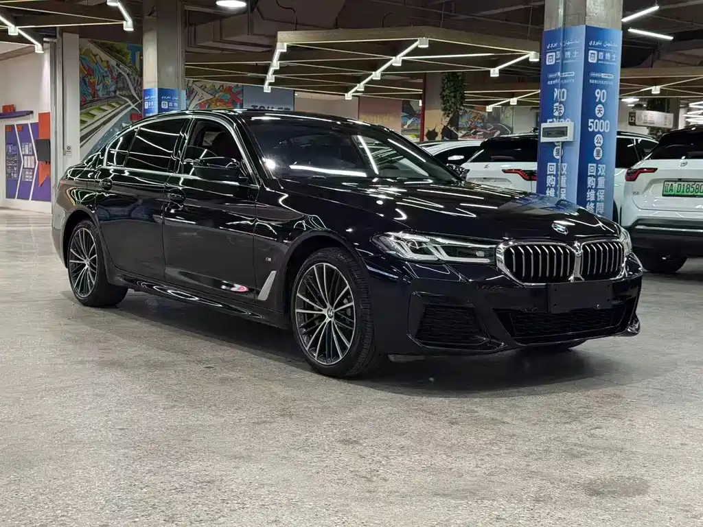BMW 5 Series — миниатюра 3