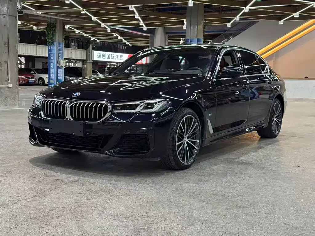 BMW 5 Series — миниатюра 2