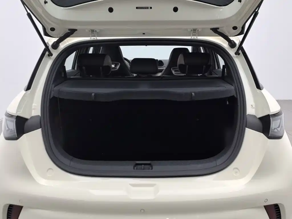 BYD Dolphin — миниатюра 16