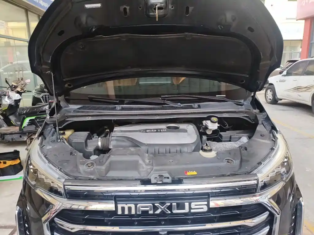 MAXUS G20 — миниатюра 20