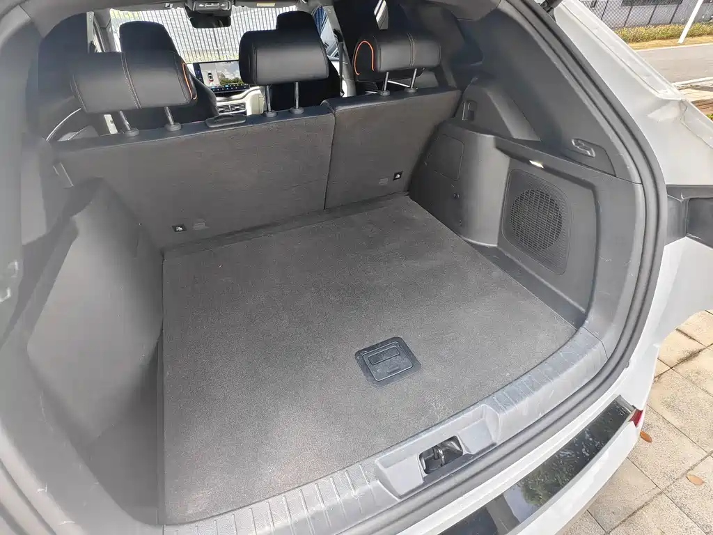 BYD PLUS New Energy — миниатюра 10