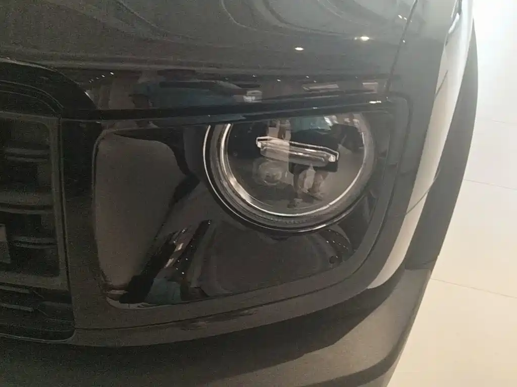 Haval Big Dog — миниатюра 24