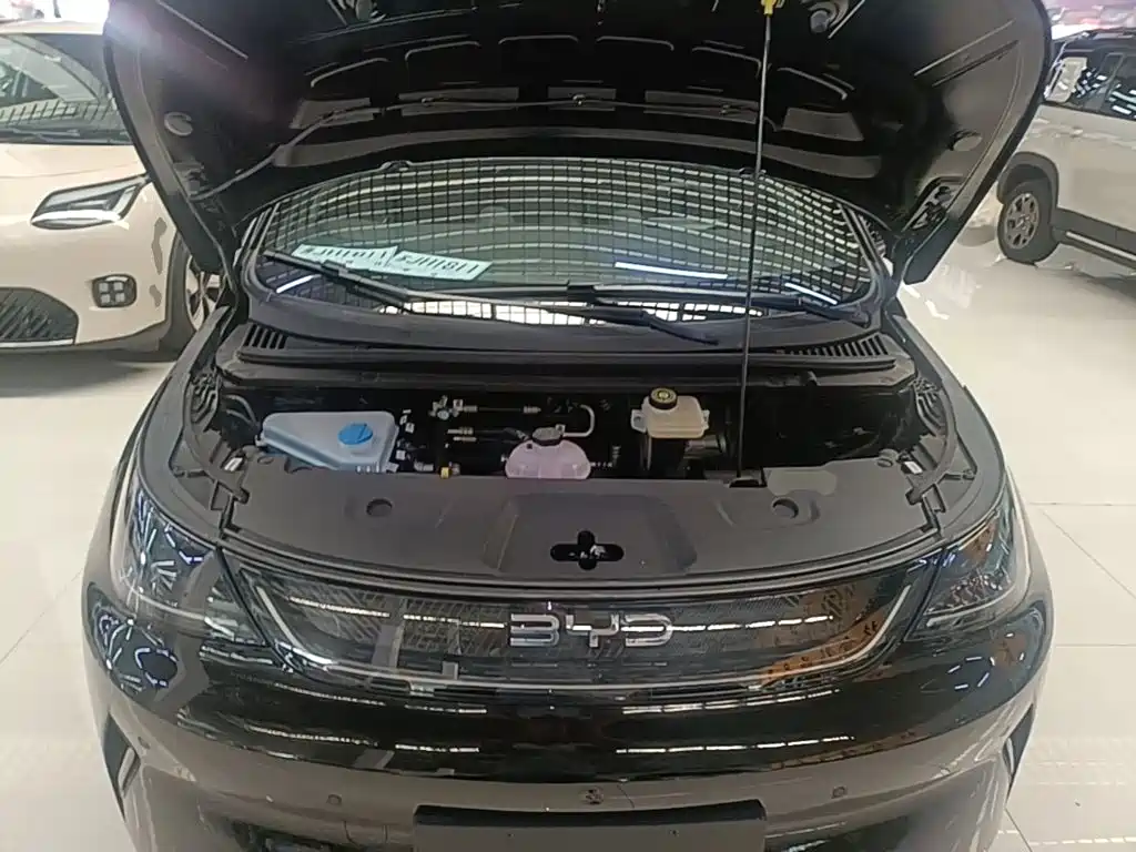 BYD Dolphin — миниатюра 20