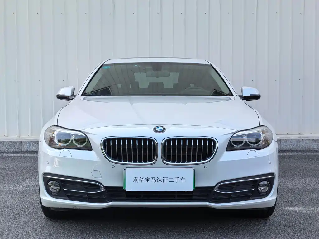 BMW 5 Series New Energy — миниатюра 2