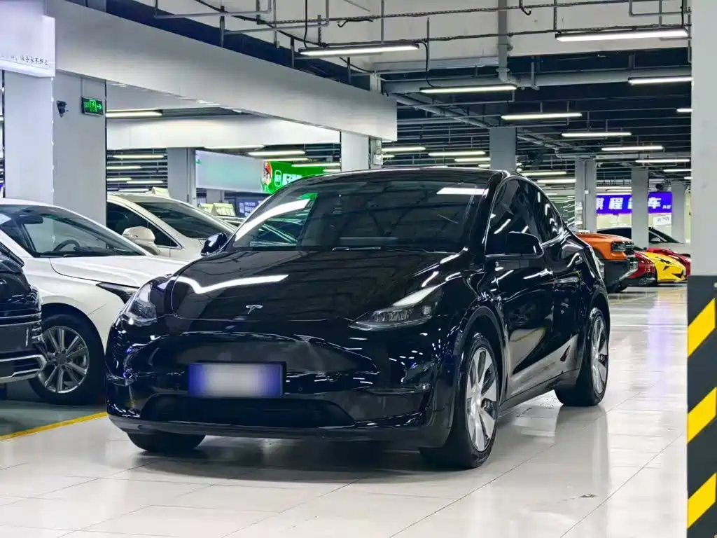 Tesla Model Y — миниатюра 2