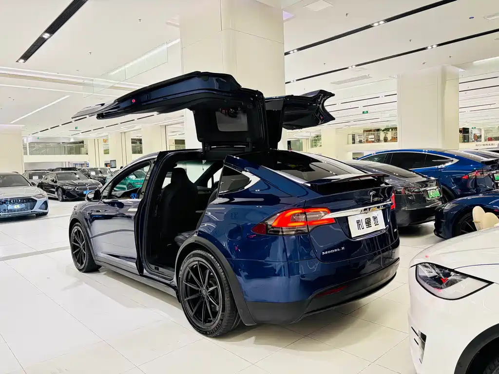Tesla Model X — миниатюра 4