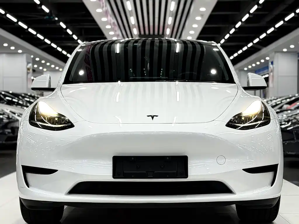 Tesla Model Y — миниатюра 2