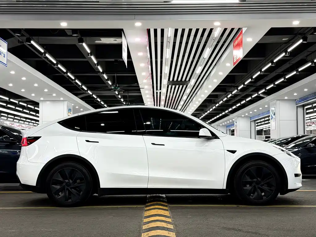 Tesla Model Y — миниатюра 7