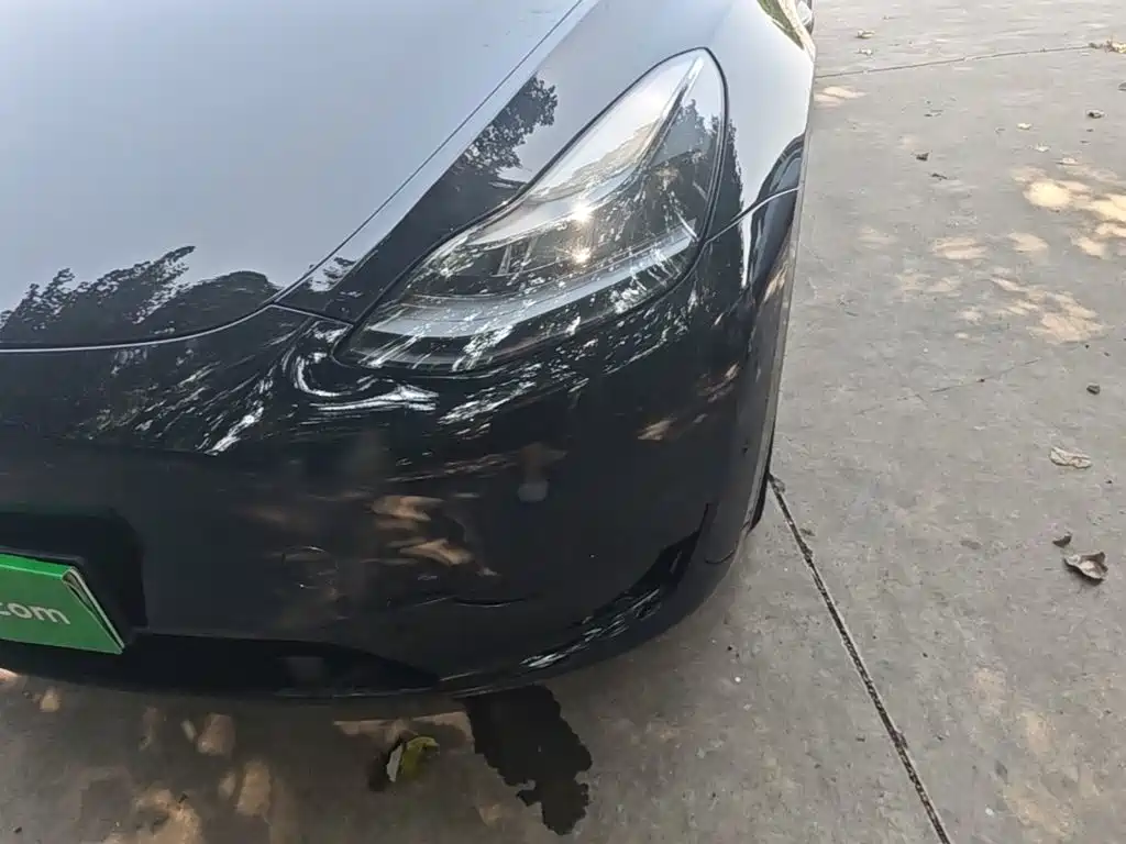 Tesla Model Y — миниатюра 24