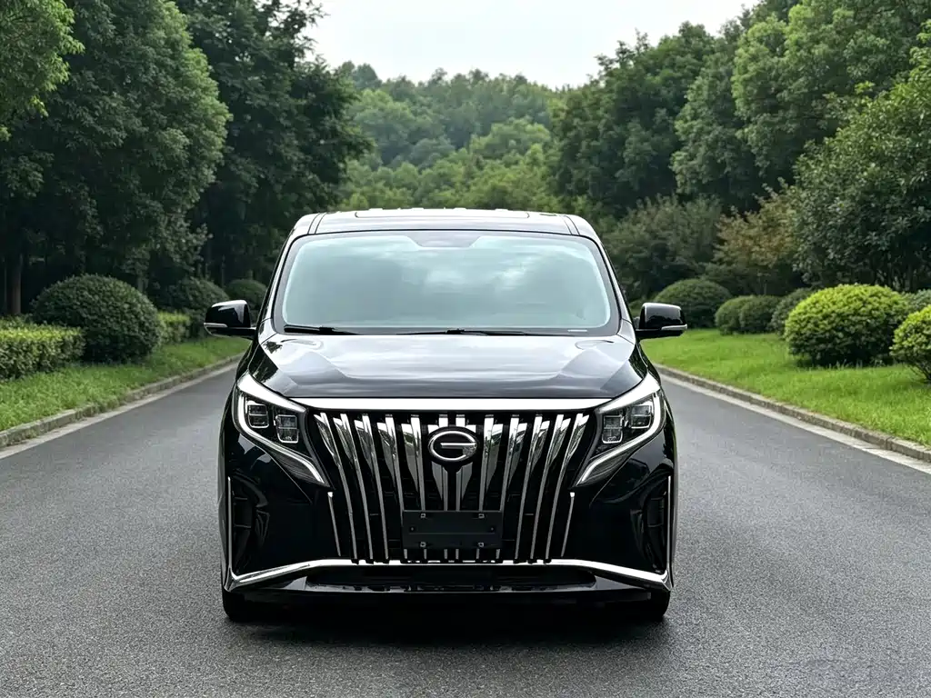 GAC Motor Trumpchi M8 — миниатюра 2