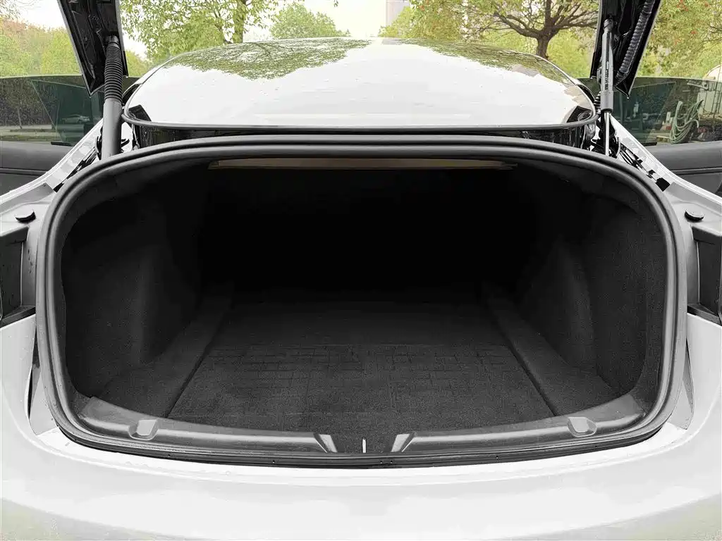 Tesla Model 3 — миниатюра 21