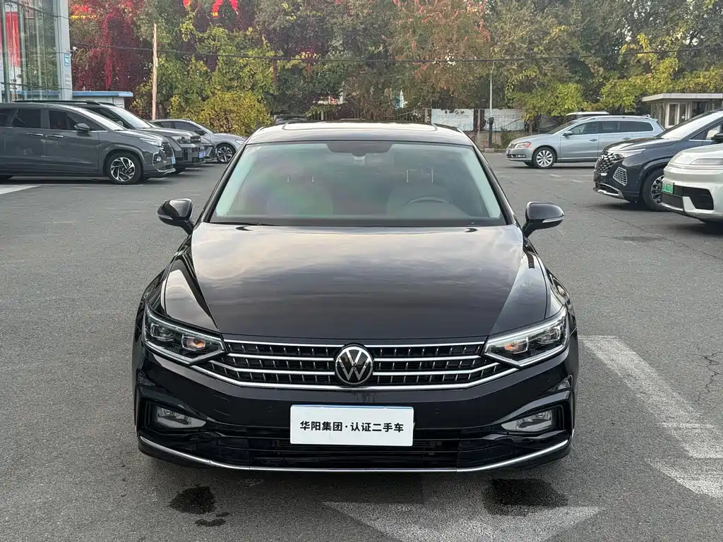 Volkswagen Magotan — миниатюра 2