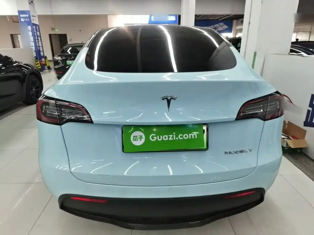 Tesla Model Y — миниатюра 6