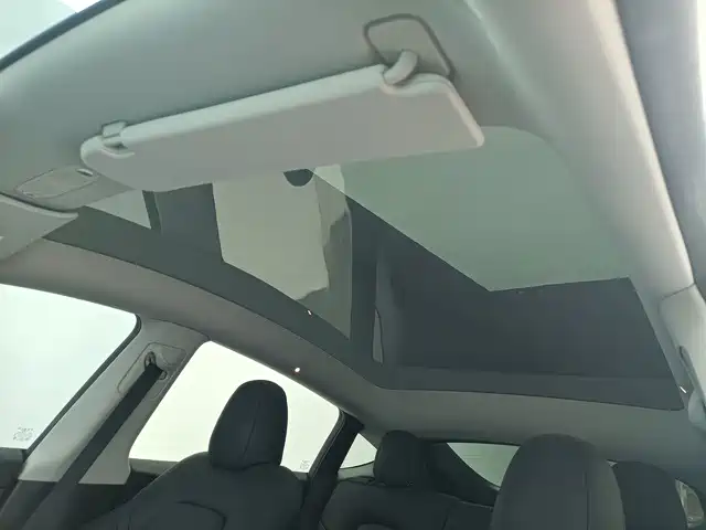 Tesla Model Y — миниатюра 12