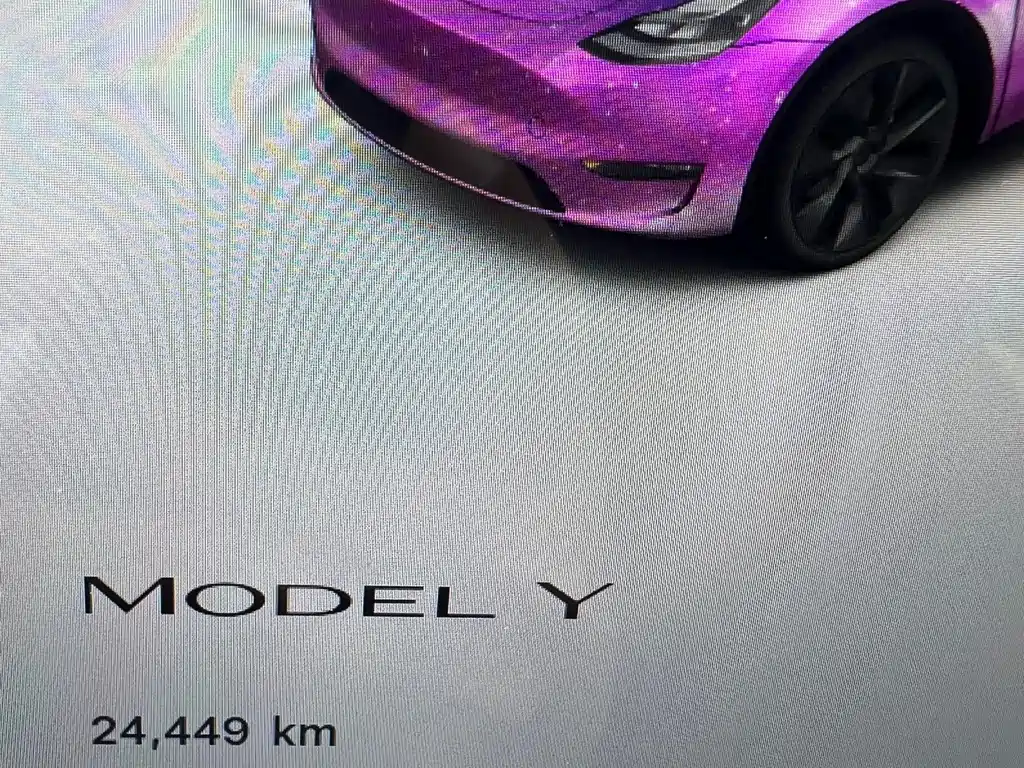 Tesla Model Y — миниатюра 13