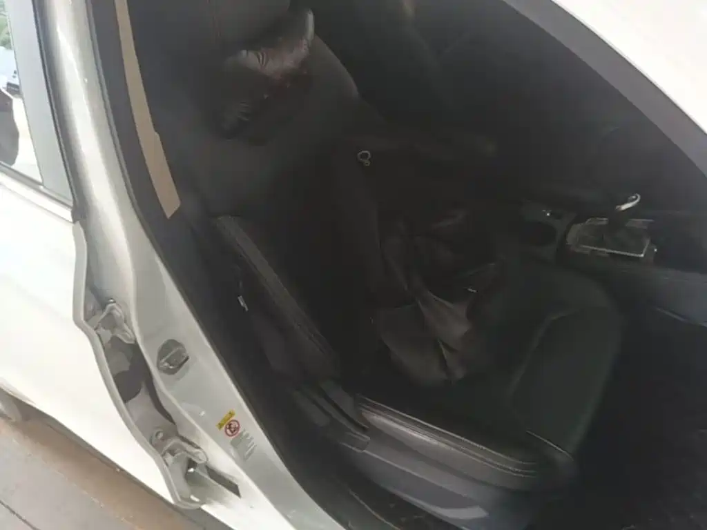 BYD Song — миниатюра 25