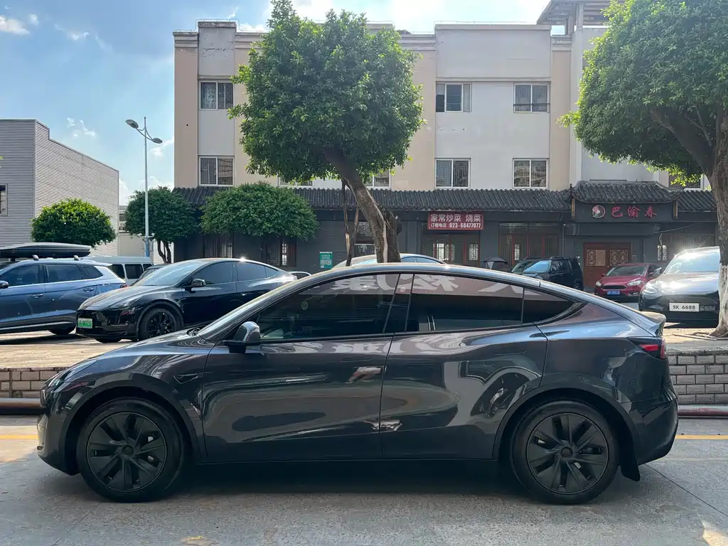 Tesla Model Y — миниатюра 4