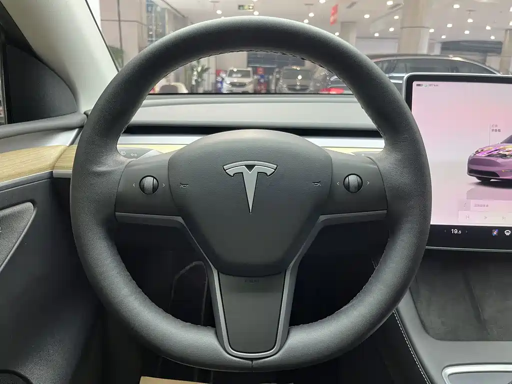Tesla Model Y — миниатюра 7