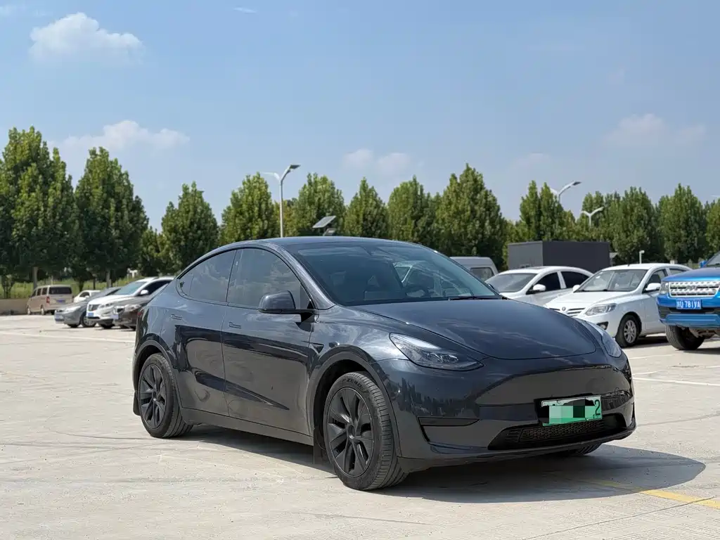 Tesla Model Y — миниатюра 3