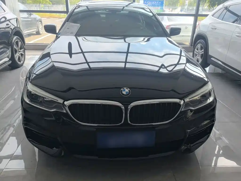 BMW 5 Series — миниатюра 3