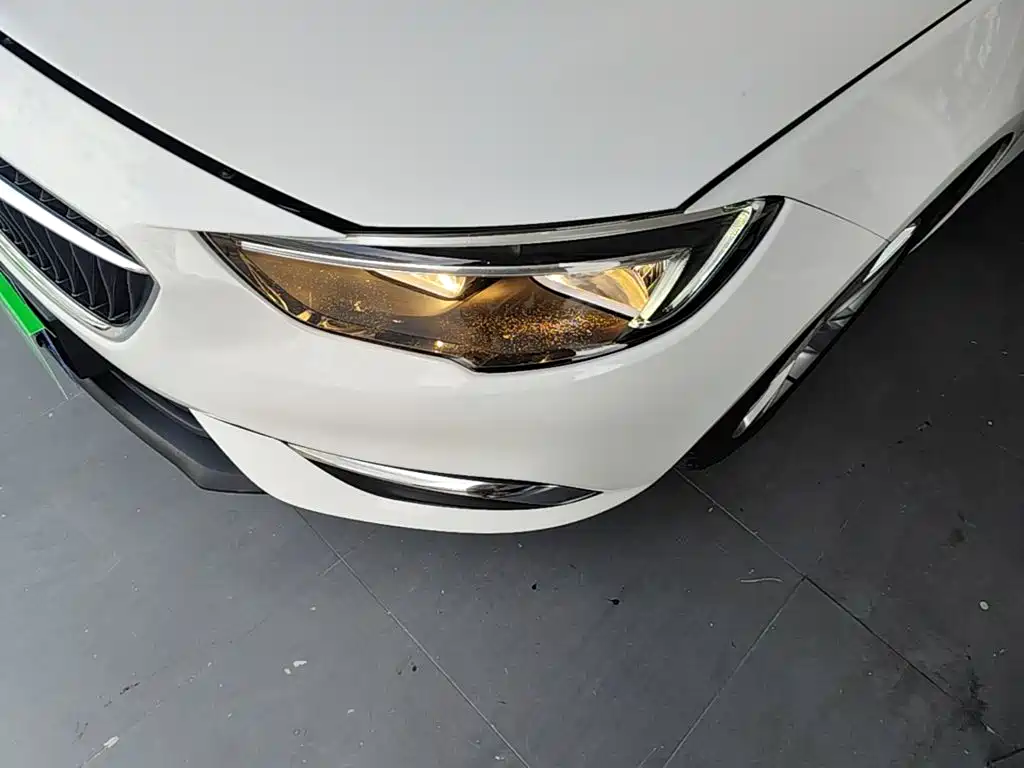 Buick Regal — миниатюра 24