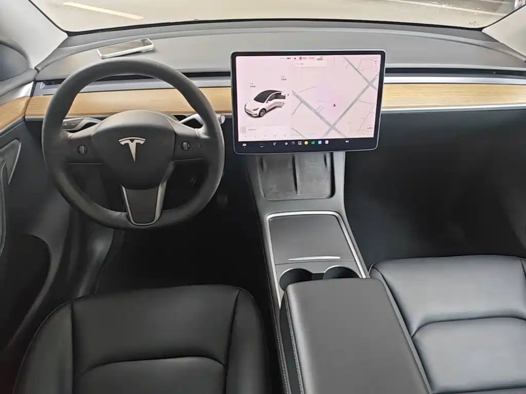 Tesla Model Y — миниатюра 10