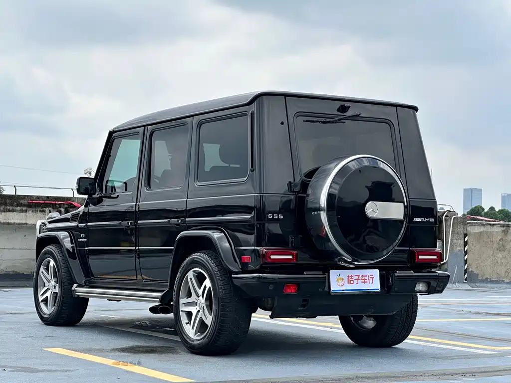 Mercedes-Benz G-Class G 2009 G 55 AMG
