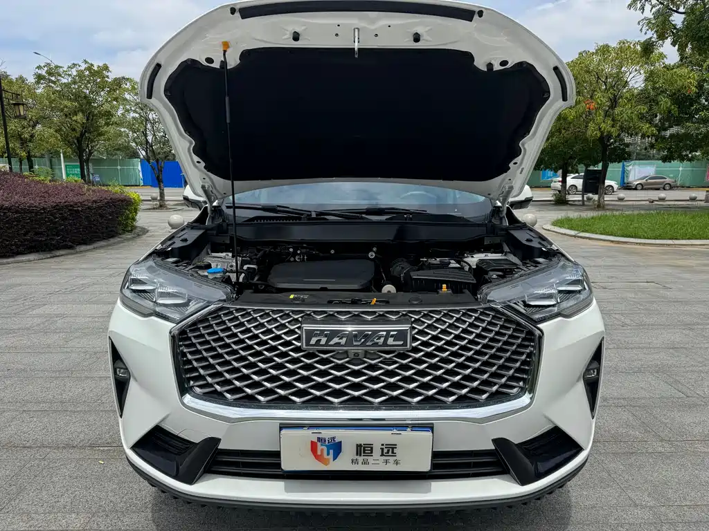 Haval H6 — миниатюра 16