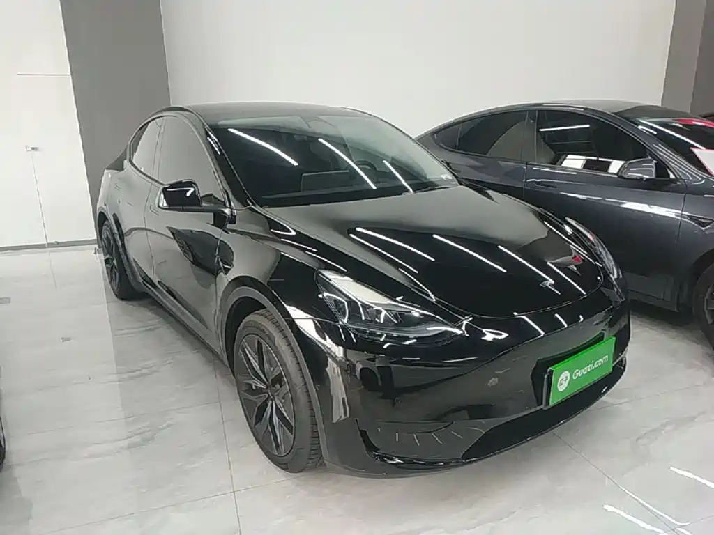 Tesla Model Y — миниатюра 4