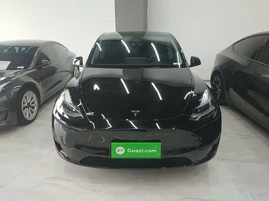 Tesla Model Y — миниатюра 3