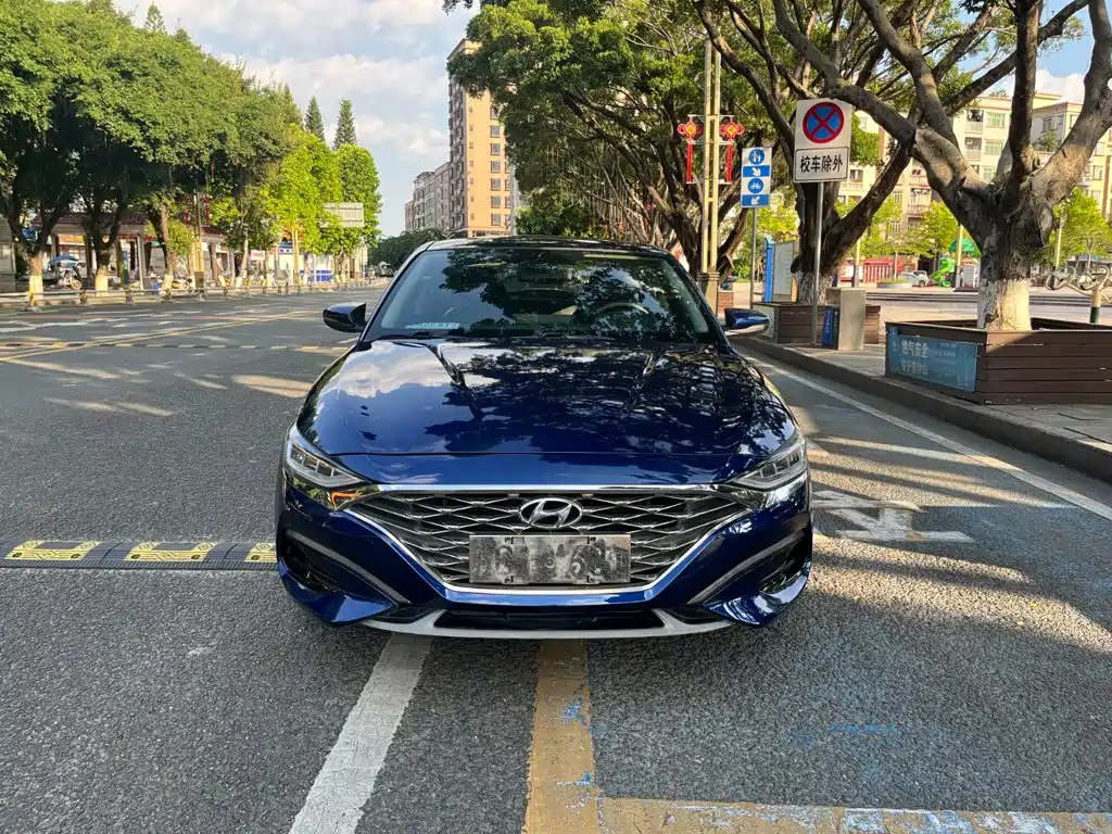 Hyundai Fista — миниатюра 2