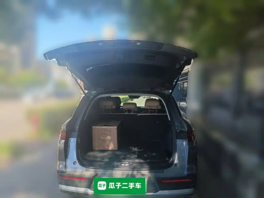 BYD Pro New Energy — миниатюра 10