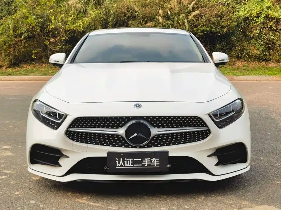 Mercedes-Benz CLS 2021 CLS 300 Luxury