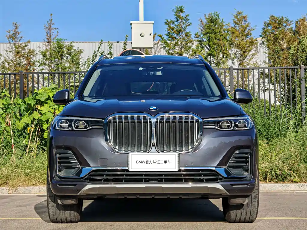 BMW X7 — миниатюра 2