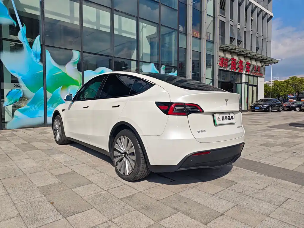 Tesla Model Y — миниатюра 6