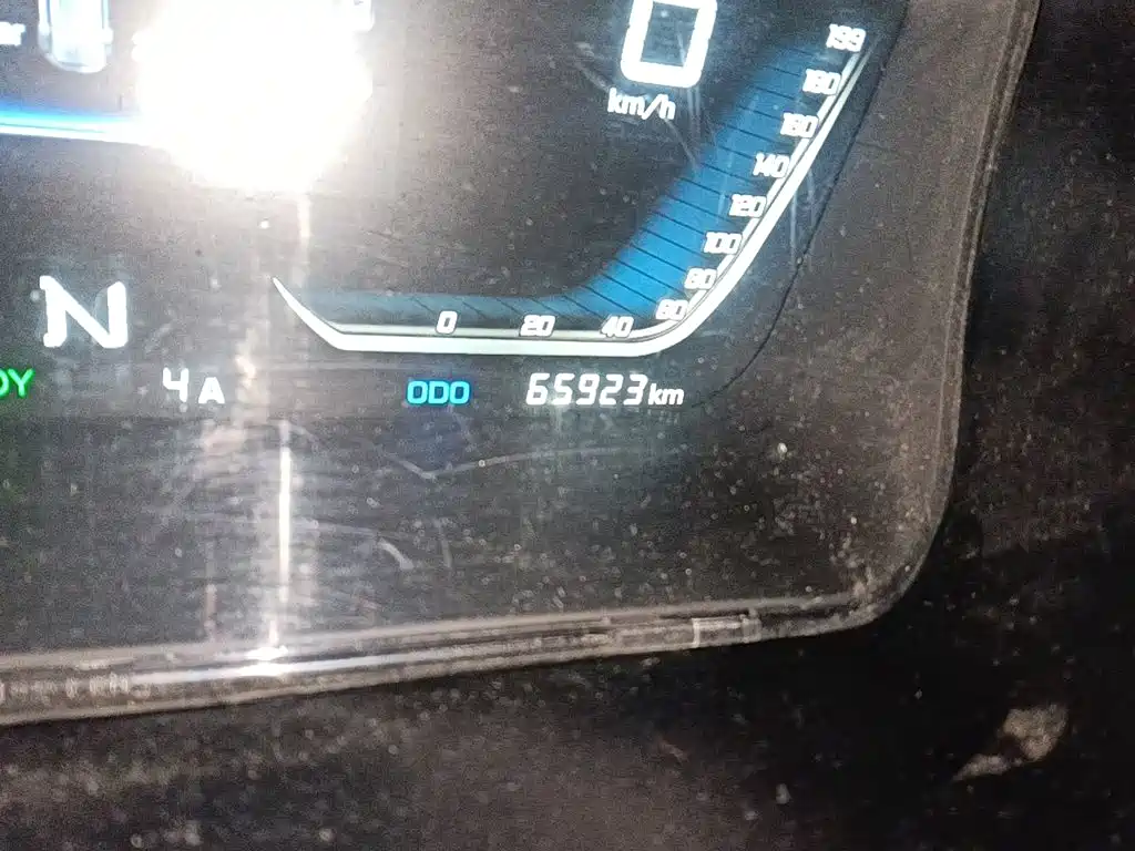 SRM SRM Sealion EV — миниатюра 13