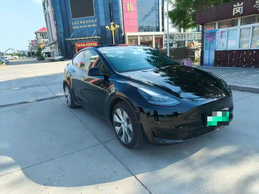 Tesla Model Y — миниатюра 3