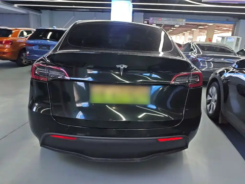 Tesla Model Y — миниатюра 6