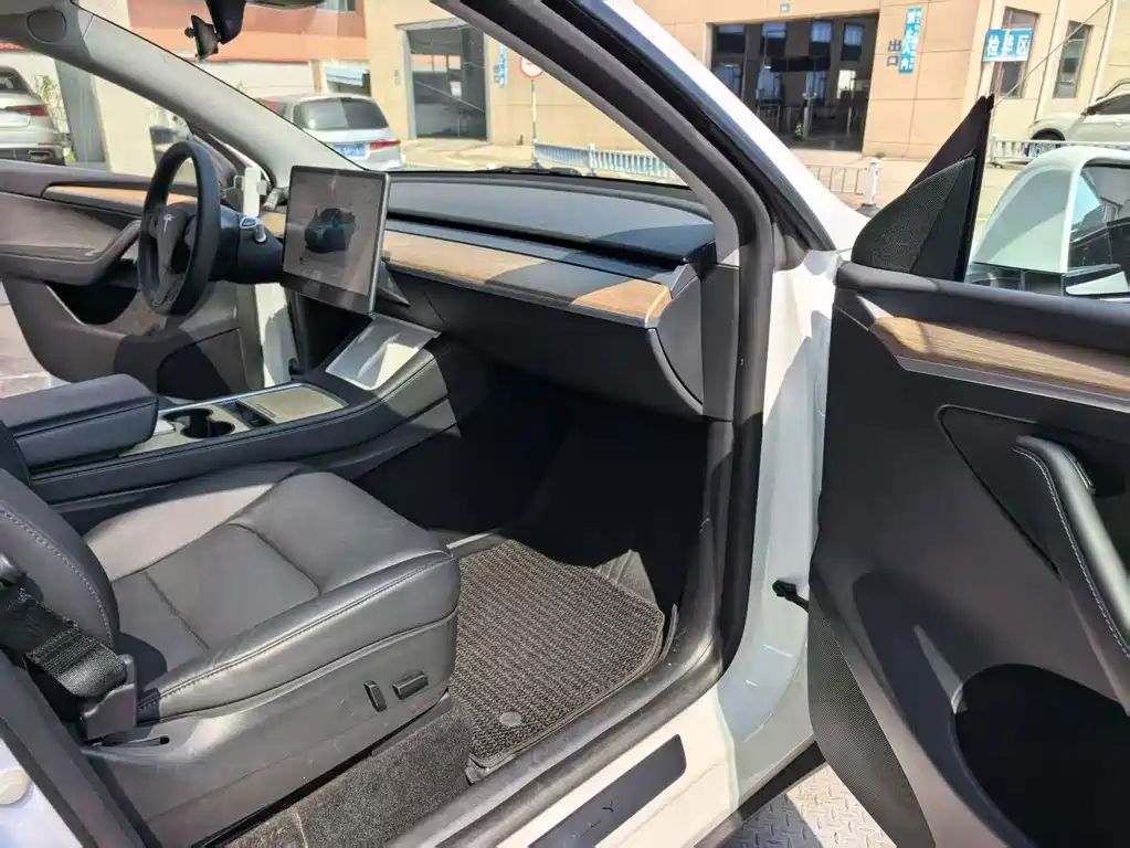 Tesla Model Y — миниатюра 8