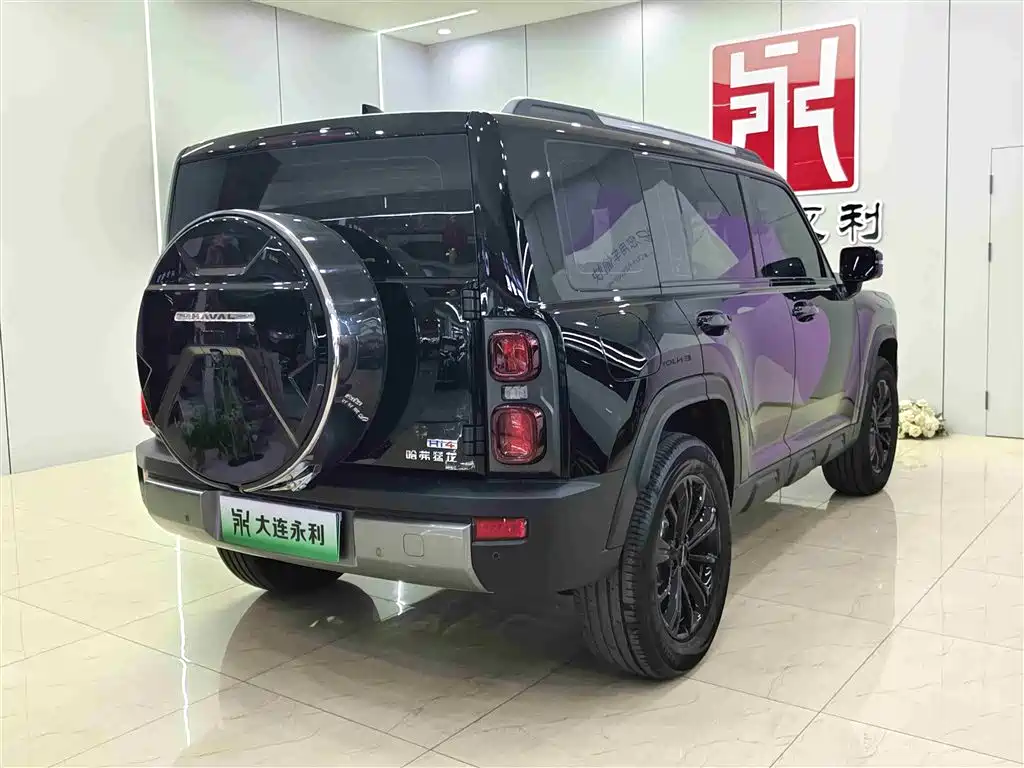 HAVAL RAPTORS NEW ENERGY