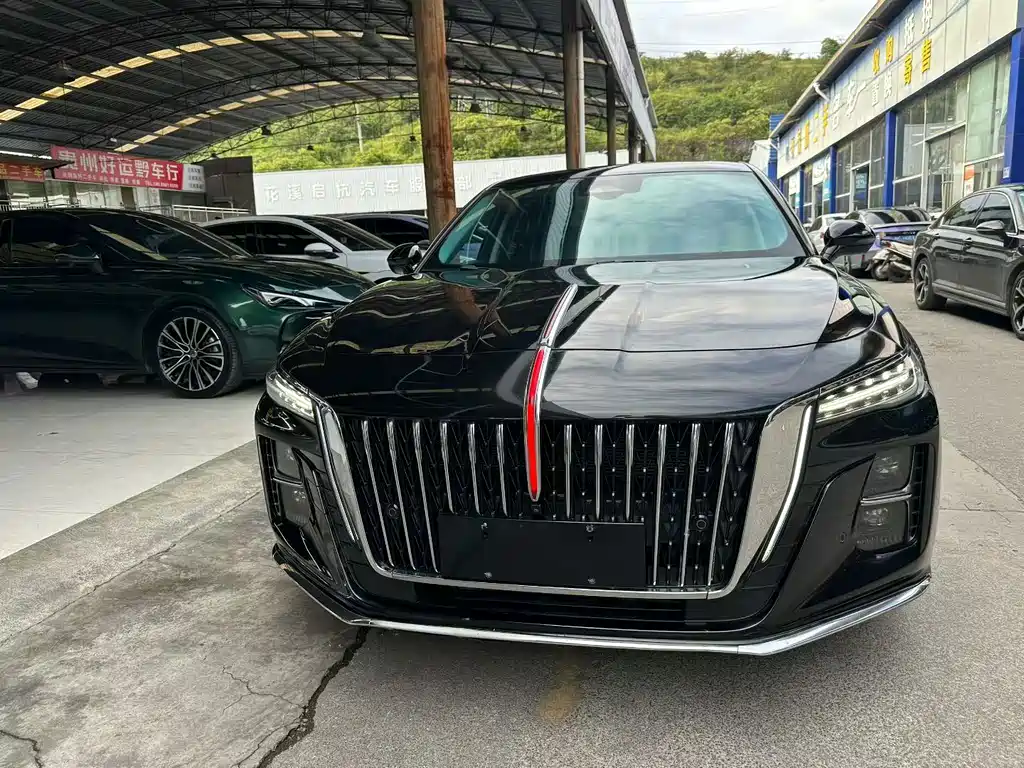 Hongqi Hongqi H5 — миниатюра 2