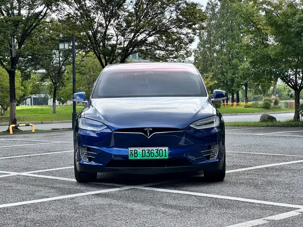 Tesla Model X — миниатюра 2