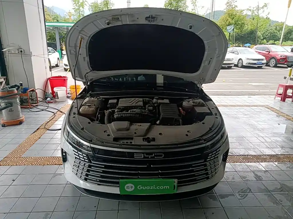BYD Destroyer 05 — миниатюра 20