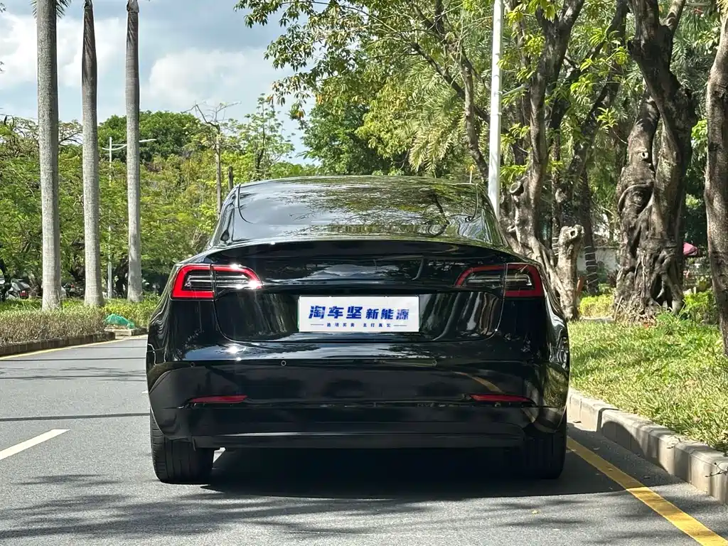Tesla Model 3 — миниатюра 5