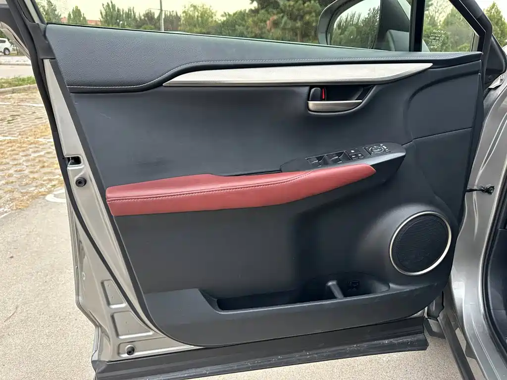 Lexus NX — миниатюра 12