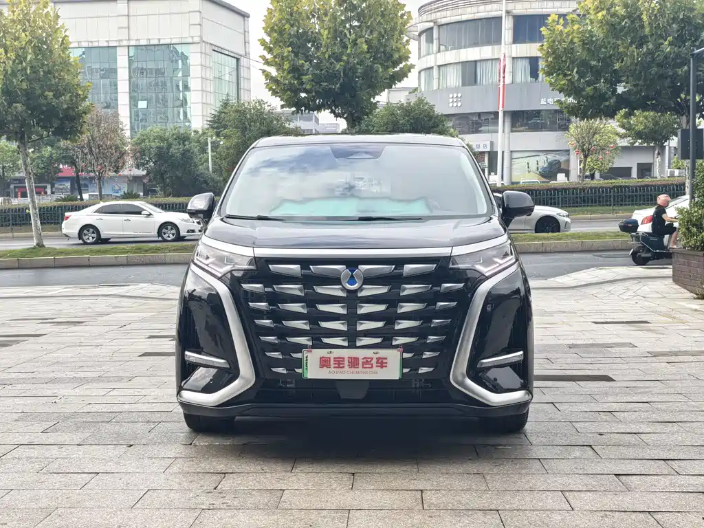 DENZA  D9