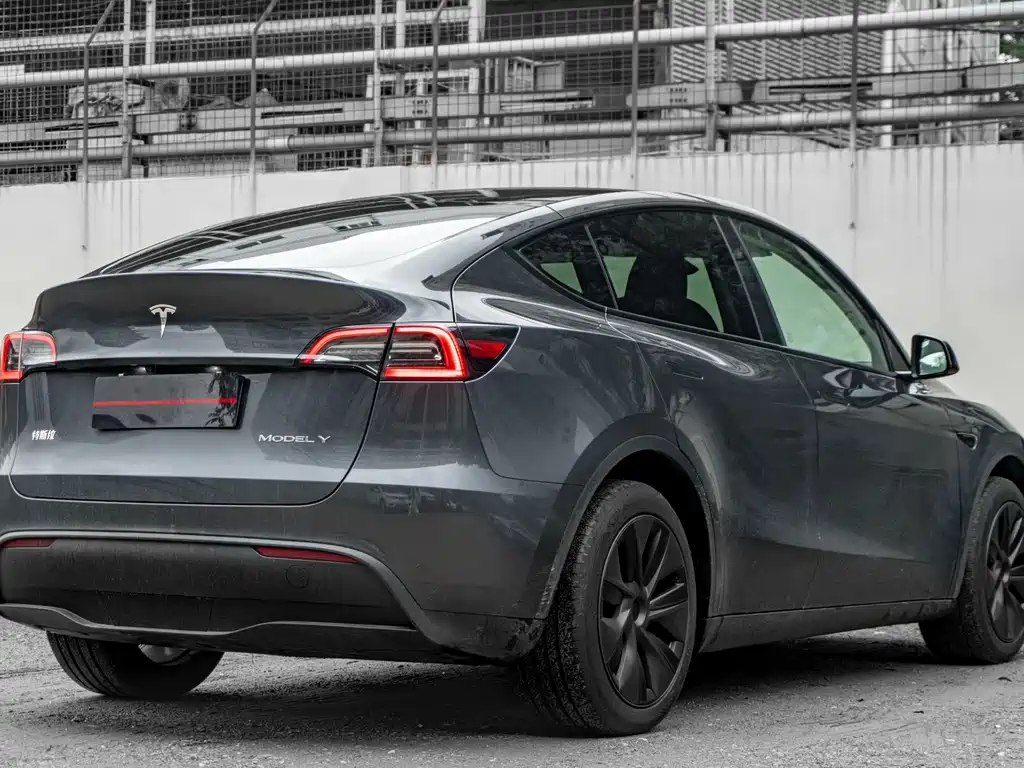 Tesla Model Y — миниатюра 4