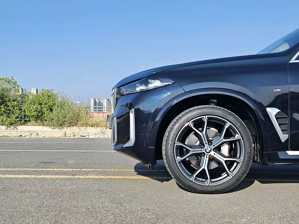 BMW X5 — миниатюра 17