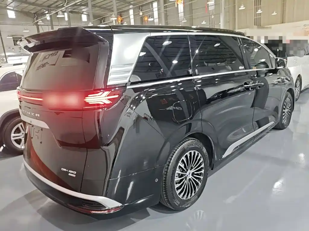 Denza Denza D9 — миниатюра 7